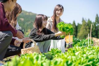 Bunkou Stay Haruhi - Vacation STAY 50996v - 3
