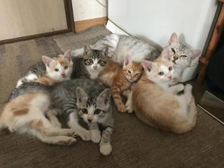 Misato Memorial Hall - Vacation STAY 61405v - 4