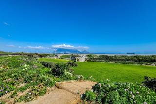 Dolphin Beach H305 - 8