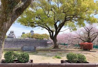 Chambord Kyomachi 102 - Vacation STAY 67038v - Kumamoto - 2
