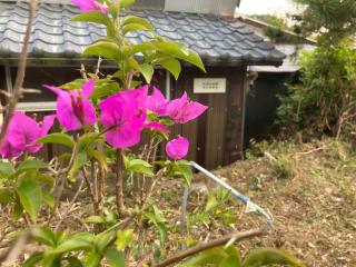 Guesthouse Nichinan - Vacation STAY 46738v - Nichinan - 4