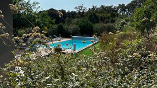 Domaine LOADANA - Sainte-Lucie de Porto-Vecchio - 7