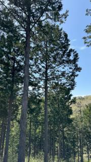 Hourokusha - Vacation STAY 13417 - 6
