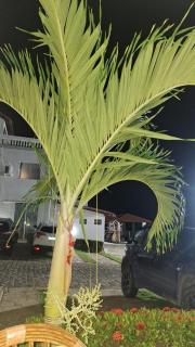 Flat Mar doce lar - 6