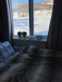 High standard appartment, Geilo - 9