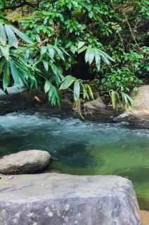 Vayalil Homestay - 6