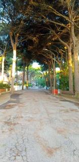 MareBlue Mobilhomes on Camping Mare e Pineta - 7