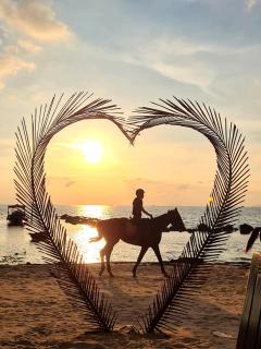 D&A Paradise Villas - Ko Samui - 2