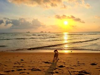 D&A Paradise Villas - Ko Samui - 1