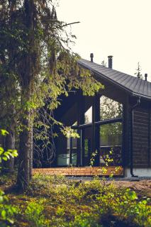 Stay North - Ilokas - 7