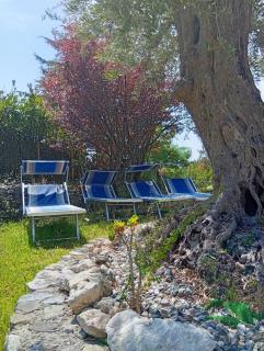 B&B da Maria Teresa - Maratea - 8