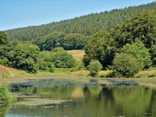 The Farmhouse - Ukc1339 - North Molton - 4