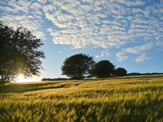 The Farmhouse - Ukc1339 - North Molton - 2