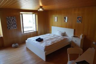 Zimmer mit Bergblick Nähe ESAF - Glarus - 0