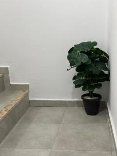 Nid douillet en duplex - Tangier - 7