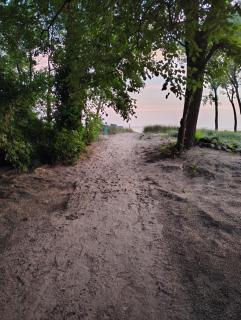 Sand Stones - Gary - 0