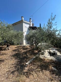 Villa Helga by the Sea - 2