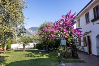 Residence Alesi - 8