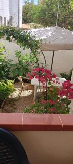 Flowered House with garden - Alghero - 9