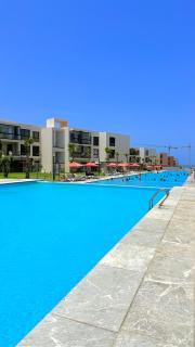 Appartement Haut Standing vue Piscine - 4