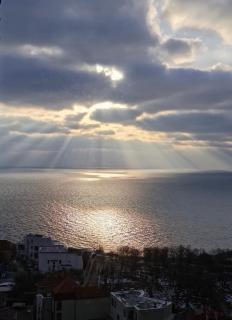 Arkadia 32 Pearl - 9