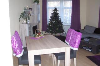 Ferienwohnung Am Schunckpark - Dresde - 2