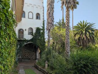Bastion del Drago - Arucas - 2