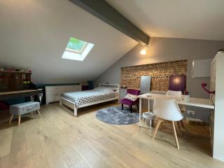 Typical Toulouse house completely renovated - 3