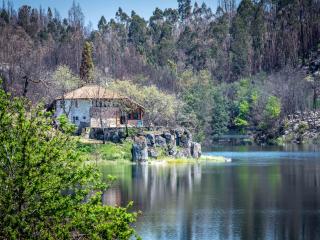 Mansion in Dão Valley by River Beach - 9