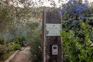 TAGGIASCA- Suite nel verde con piscina e terrazza privata - 1