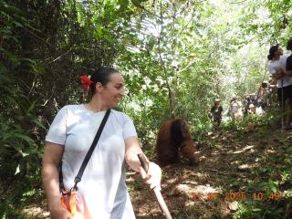 Rinte Green Village & Bukit Lawang Jungle Trekking - Bukit Lawang - 6
