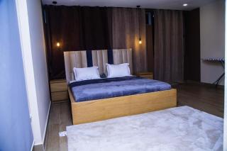 PLSA airport city 2bedroom - Accra - 5