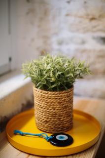 Spianada Studios by Konnect, Old Corfu Town - Città di Corfù - 2