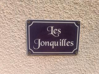 Les Jonquilles - Chef-Boutonne - 9