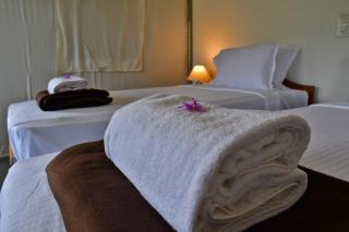 Birds Murmur camp - 2