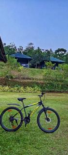 Birds Murmur camp - 2