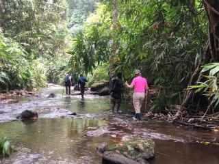 Birds Murmur camp - 3