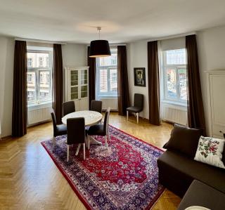 Gemütliche Wohnung beim Parlament - 1