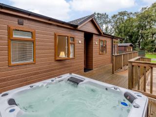 2 Bed in Okehampton 85432 - Okehampton - 0