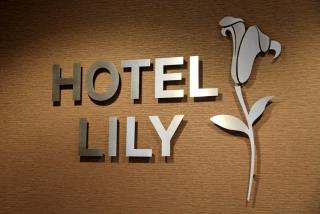 Hotel Lily - Londra - 5