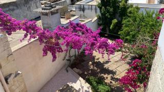 Celi Blu Apartments - Lizzanello - 0