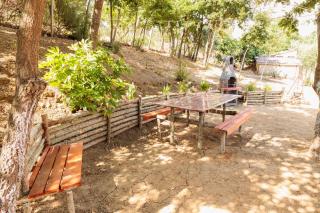 B&B Il Rifugio di Olea - 3