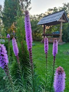 O'Sowa Noclegi Wetlina - 8