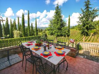 Escape to Vineyards, Elba - 8