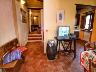 Escape to Vineyards, Elba - Radda in Chianti - 1