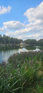 Leśny Azyl Parczów - - 0