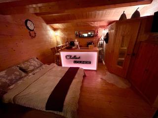 Wellness Ferienwohnung mit Sauna, Massagen, Spa, beheizbarem Whirlpool bei Leipzig - 8