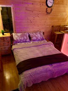 Wellness Ferienwohnung mit Sauna, Massagen, Spa, beheizbarem Whirlpool bei Leipzig - 4