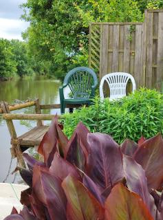 MARAIS POITEVIN Gîte Nature et Serein Vue imprenable sur la rivière Calme absolu Idéal pour familles couples voyageurs - 4