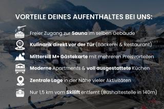 Our's Living - modern Apartments with Sauna near Kitzbüheler Alpen ski lift - 9